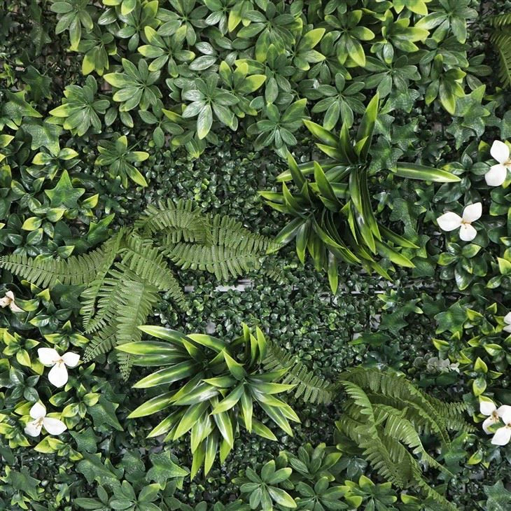 Green Wall Plants Indoor