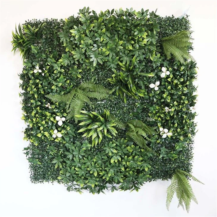 Green Wall Plants Indoor