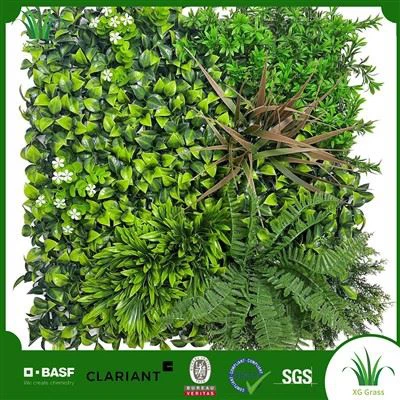 Diy binnenwijnstokmuur