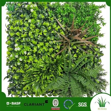 Diy binnenwijnstokmuur