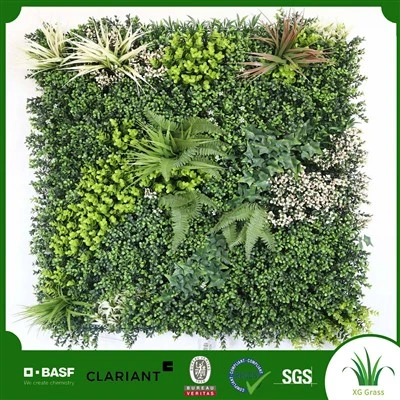 Beste planten voor kamerplantenmuur