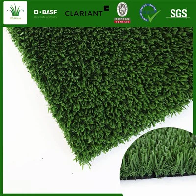 Voetbal Op Kunstgras