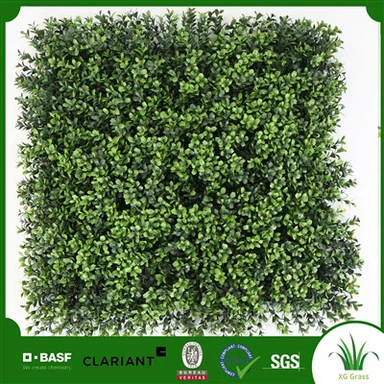 Kamerplanten Op De Muur