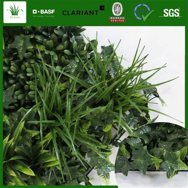 Levende mosmuur binnenshuis