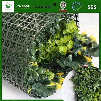 Living Wall Kamerkruiden