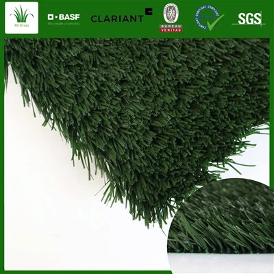 Sportveldgras