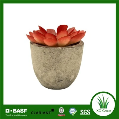 Groothandel rode kunstmatige succulente mini-kunstplanten voor thuis en op kantoor