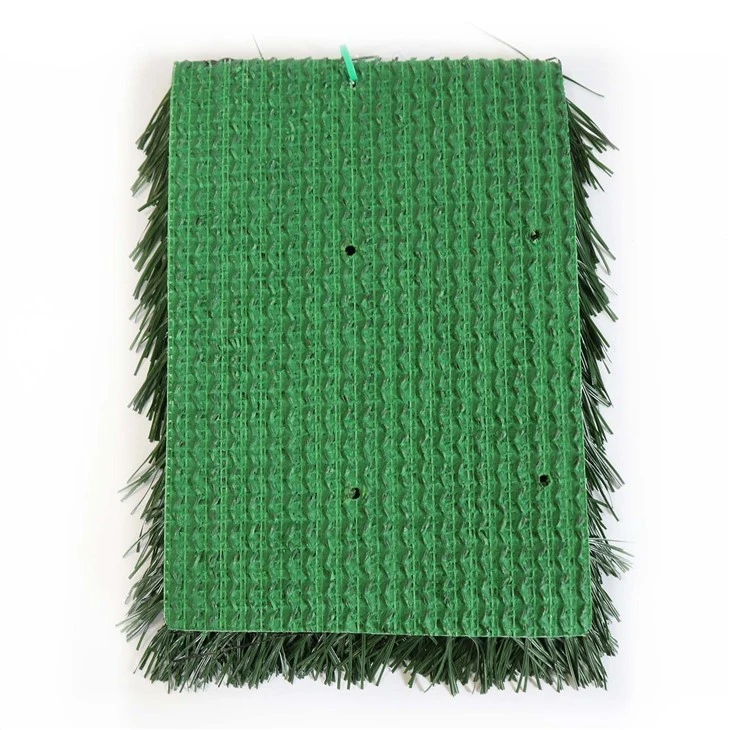 Sports Turf Lnternational