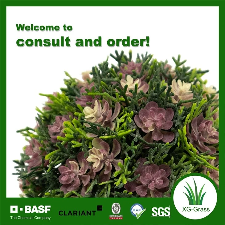 Xingu Realistic Faux Succulent Spherical Plant For Indoor Spaces price